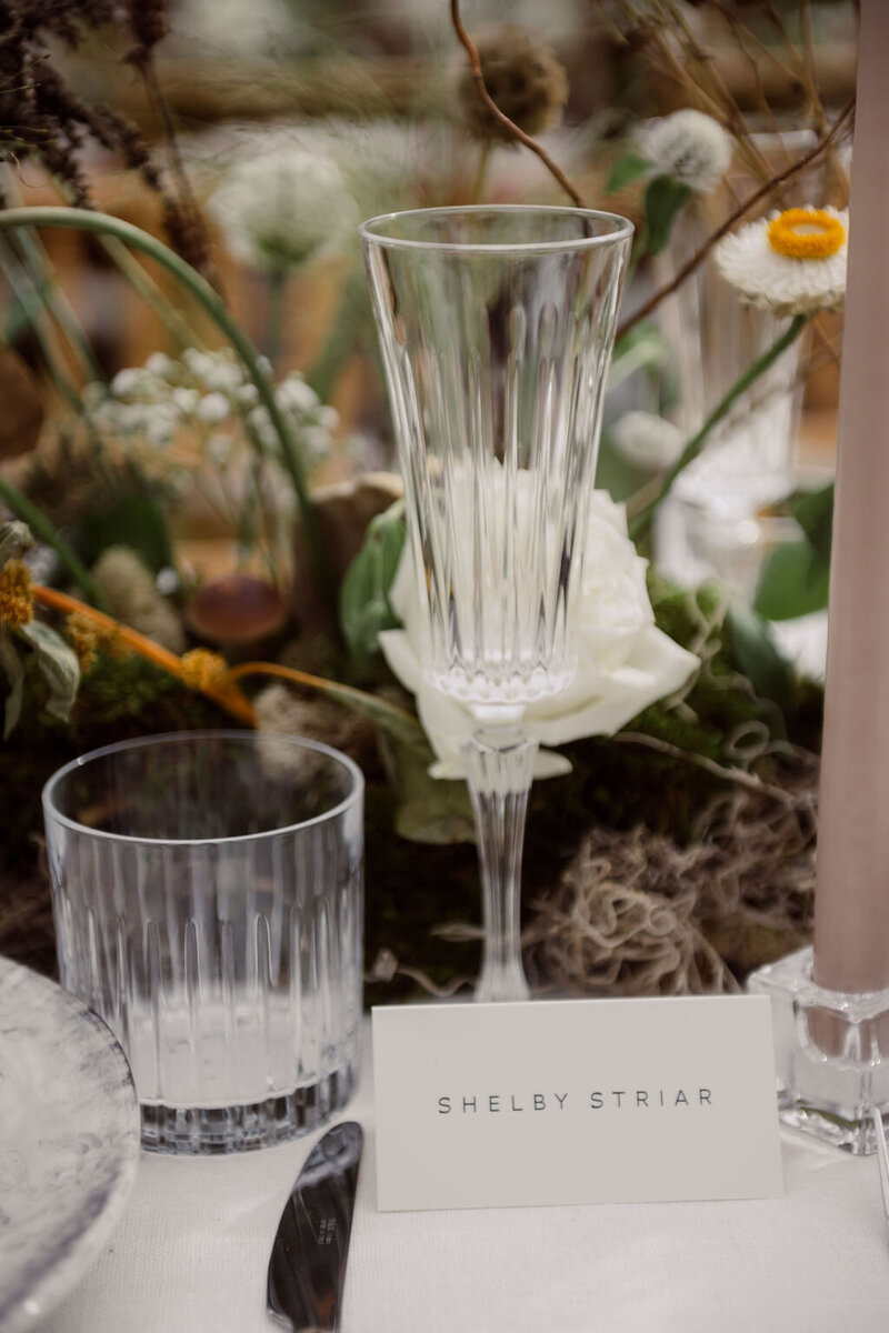 Shelby_Sam(302of843)