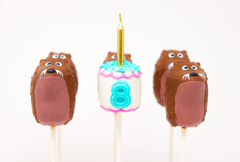 bakery - cakes - cake pops -north dakota -238