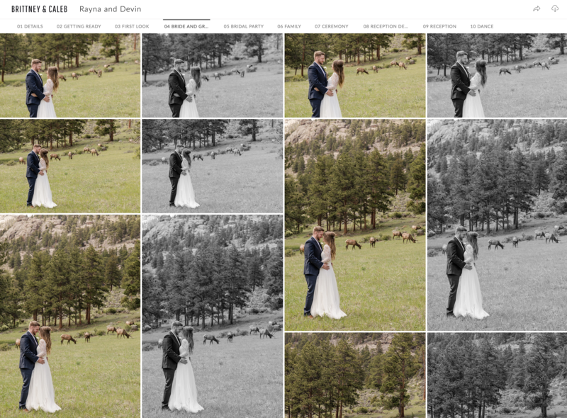 Screen Shot 2019-07-03 at 12.13.43 PM