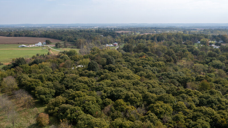 DJI_0940