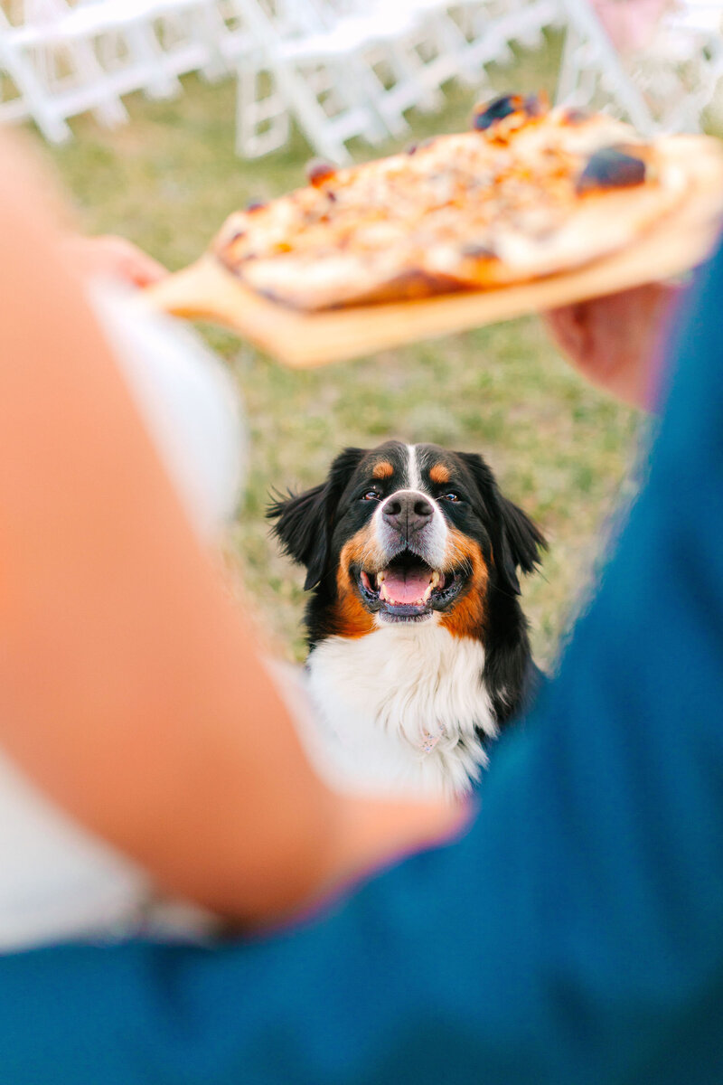 Colorado Wedding Photographer