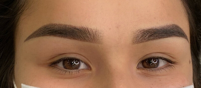 Ombre powder brows closeup of brows