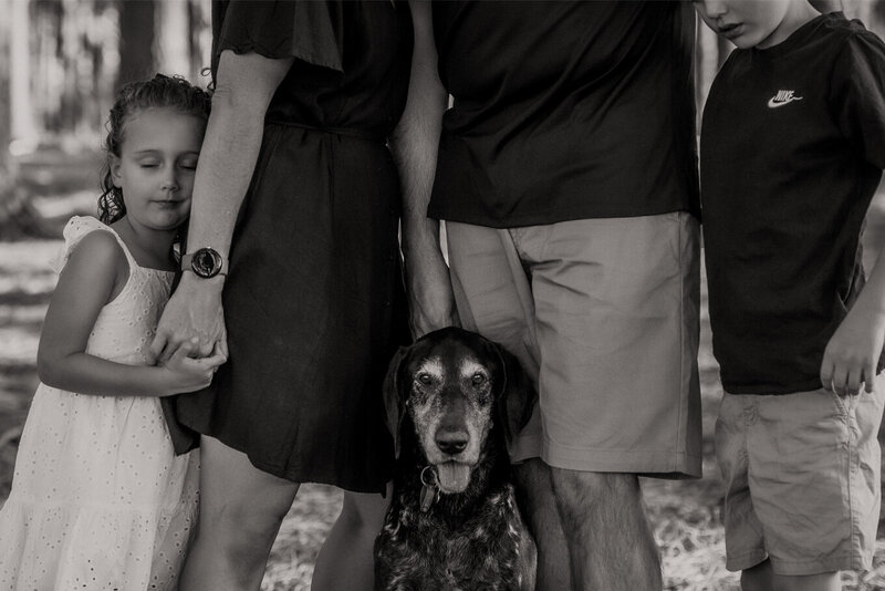 the-lifestyle-phodographer-perth-family-pet-photographer-legacy-end-of-life00014
