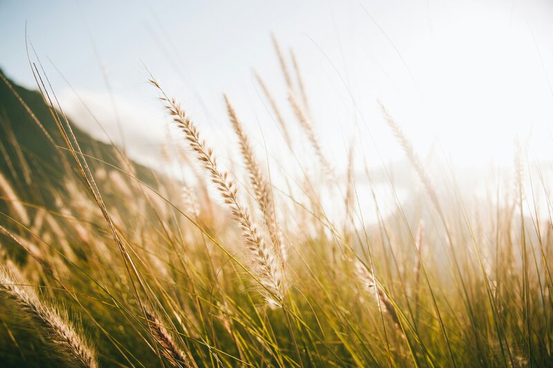 tim-johnson-BMljDPdeigw-unsplash-2