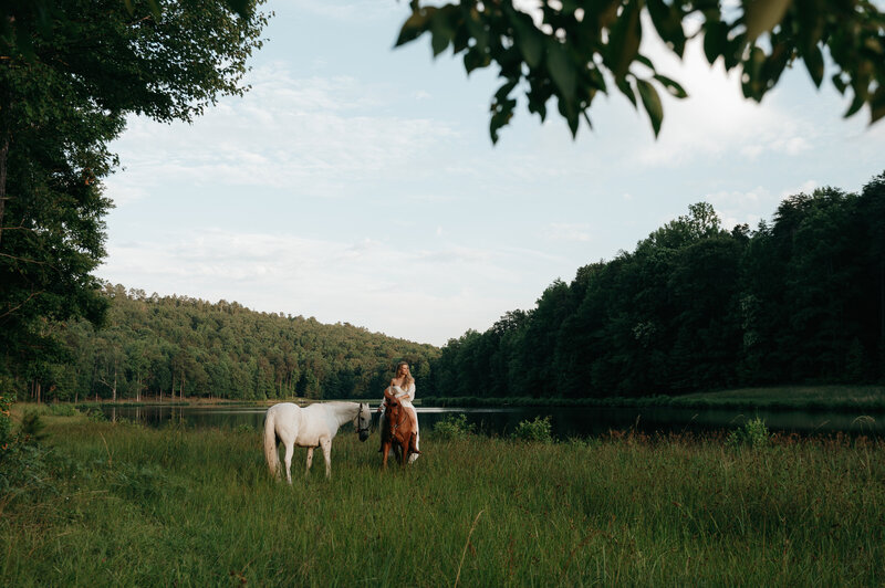 Horse Bridals-73