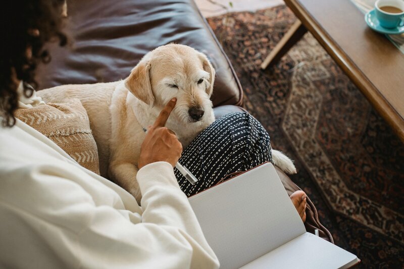 Professional woman doing competitive research on her tablet