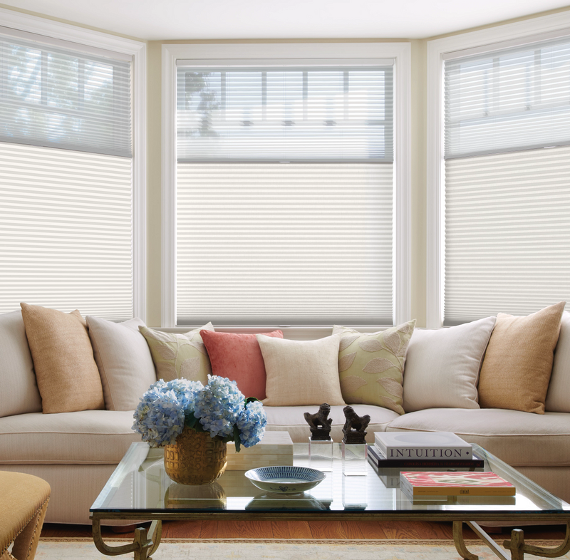 Living space window blinds