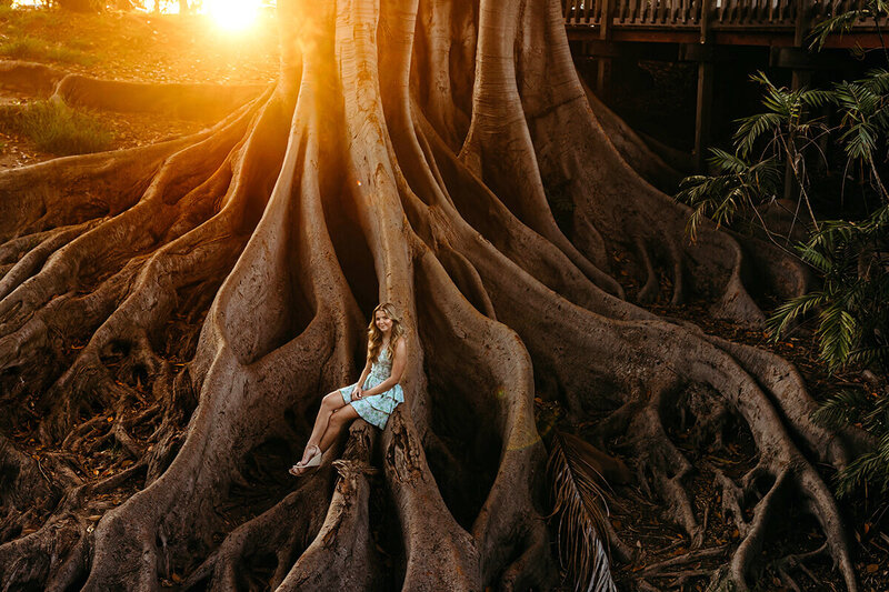High school senior girl sitting in a banyan tree at sunset.
