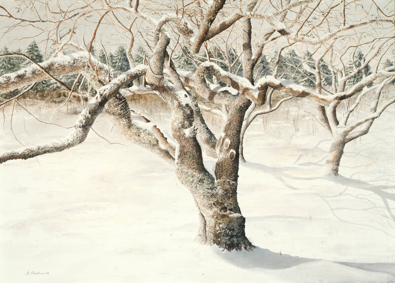 Cherry Winter © Alan Shuptrine, 21X29 inches