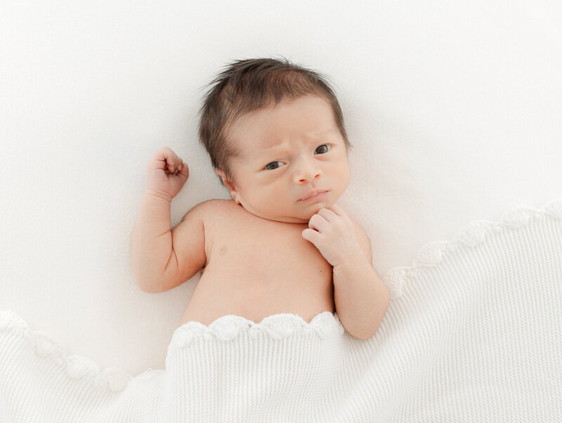 boston newborn photographer-1-4