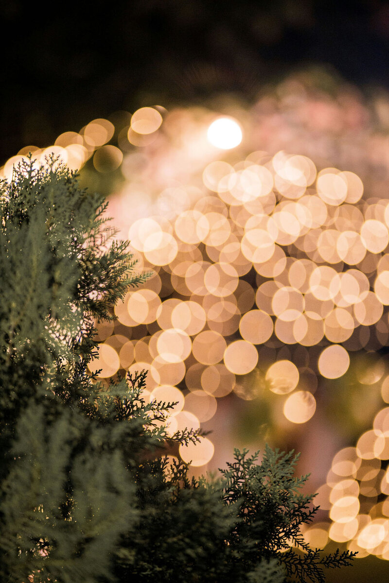 junior-reis-TMX5vJLOVSo-unsplash