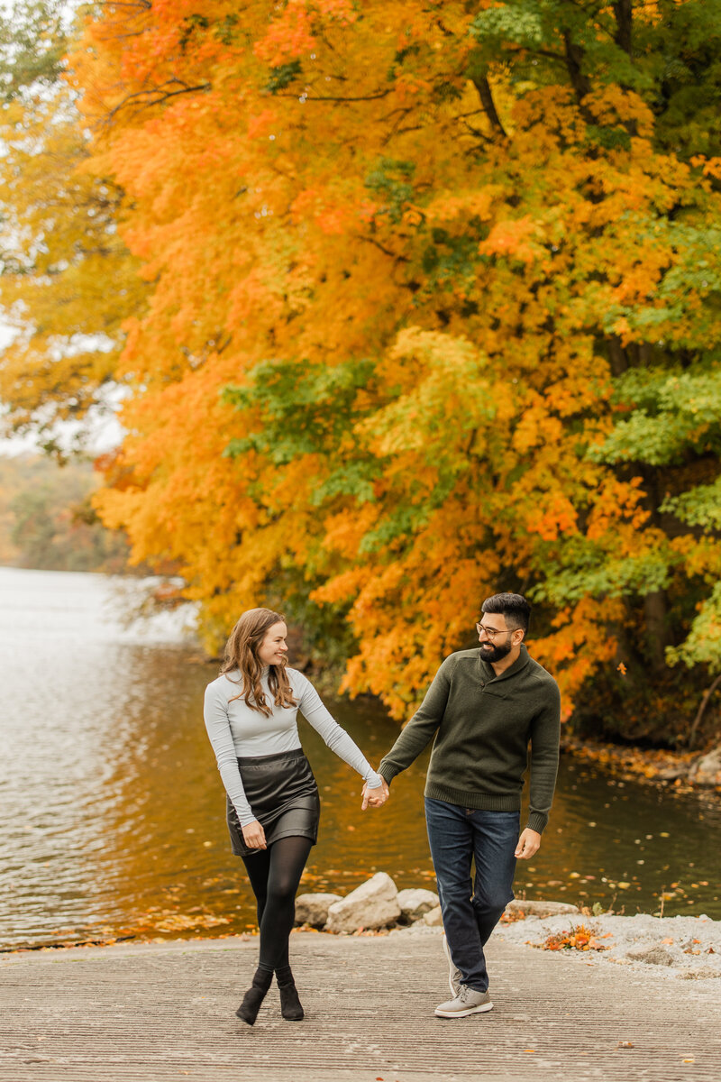 Nicole & Hozhabr Engagement -19