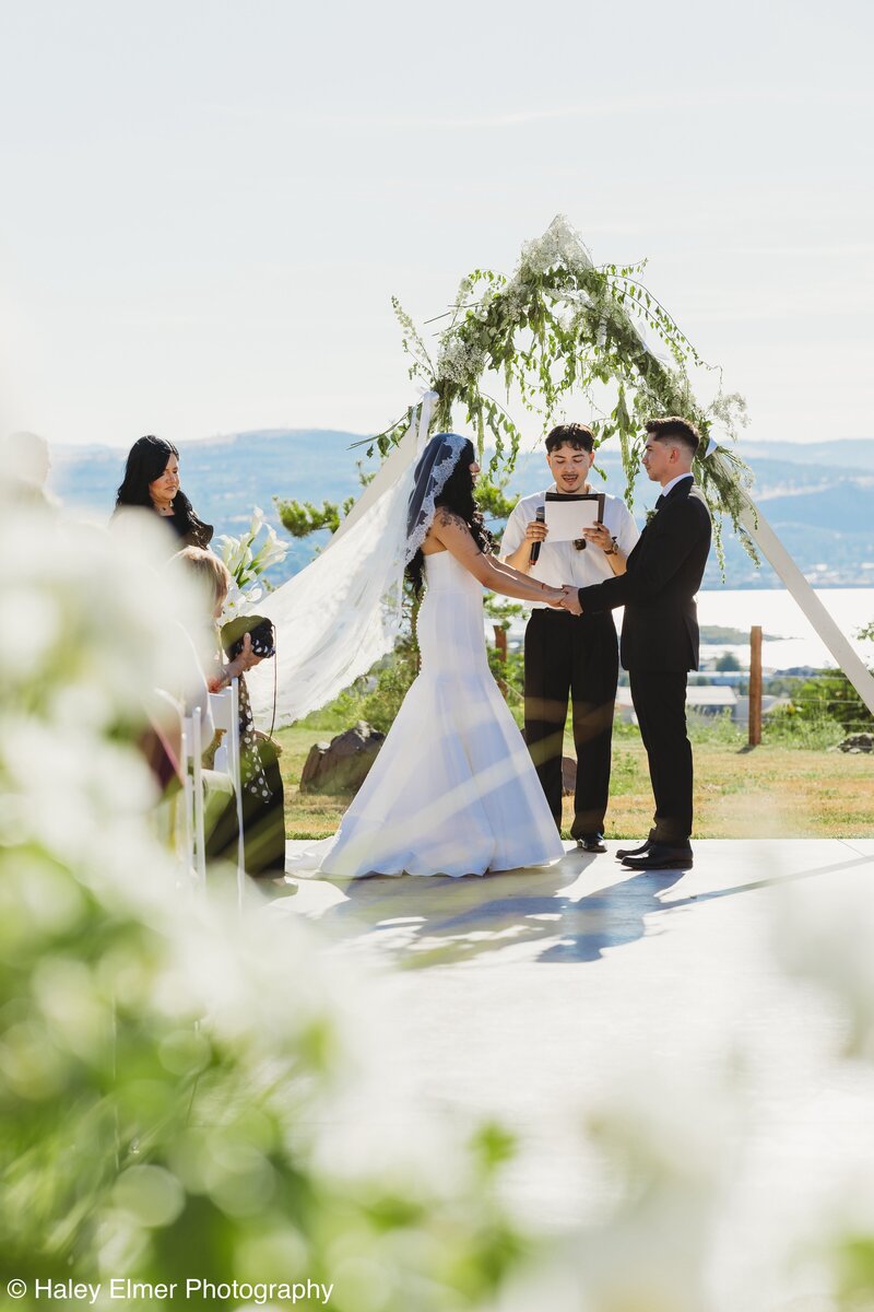 couple kissing under a wedding veil