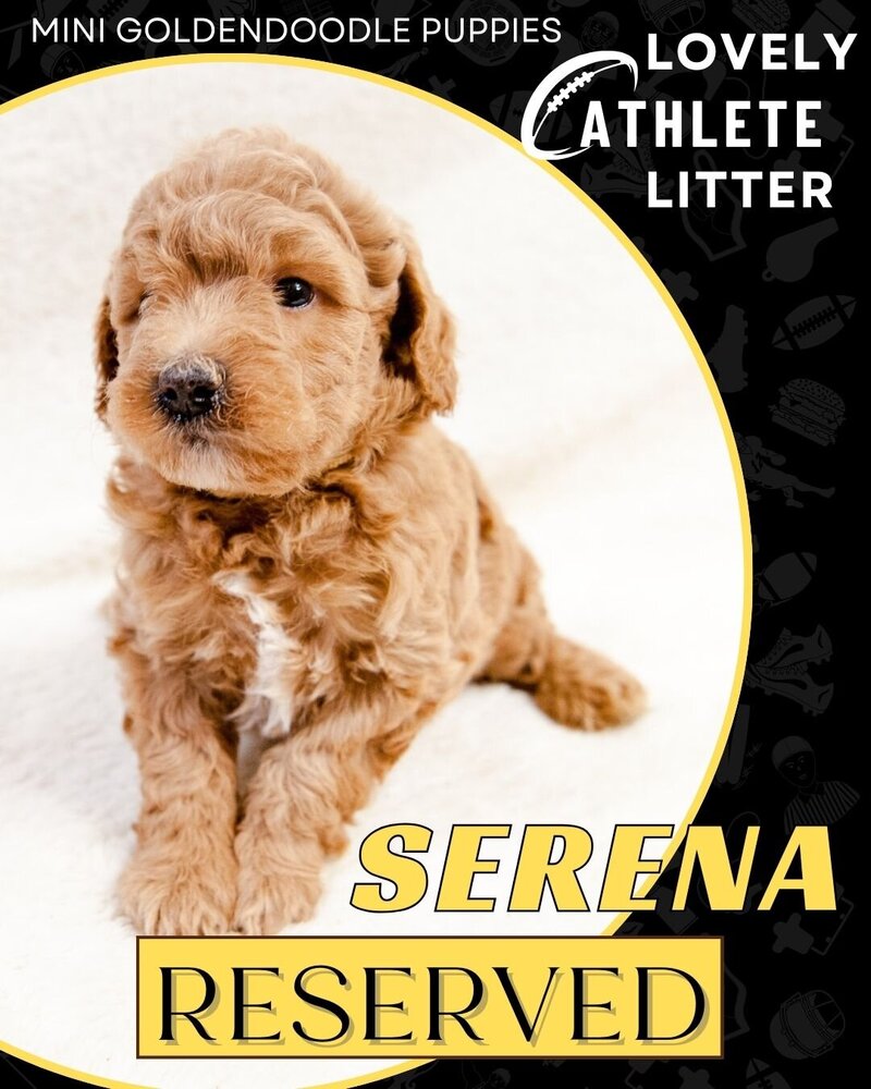 Athlete - Yellow Serena Female