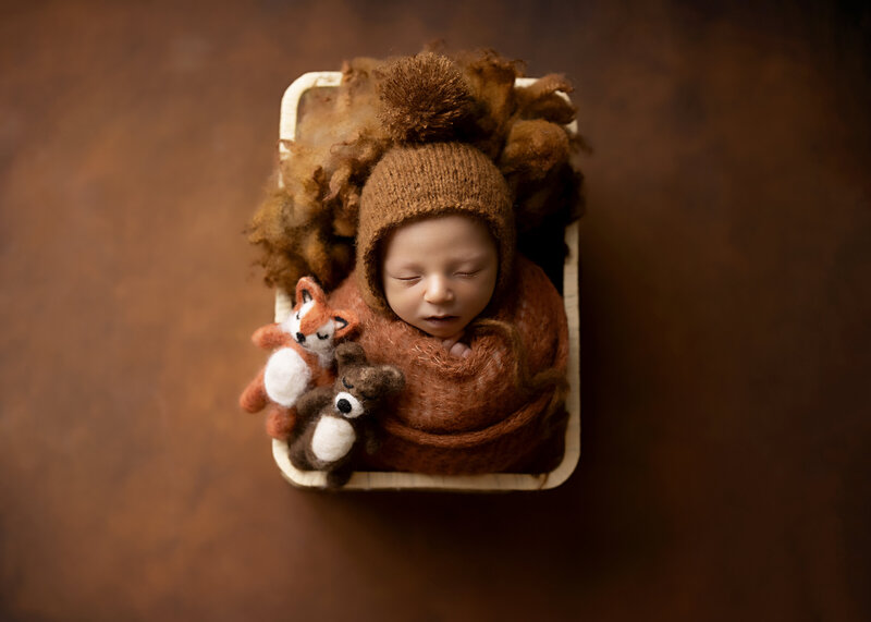 Florence alabama baby photographer, Florence alabama newborn photographer, Alabama Maternity Photographer