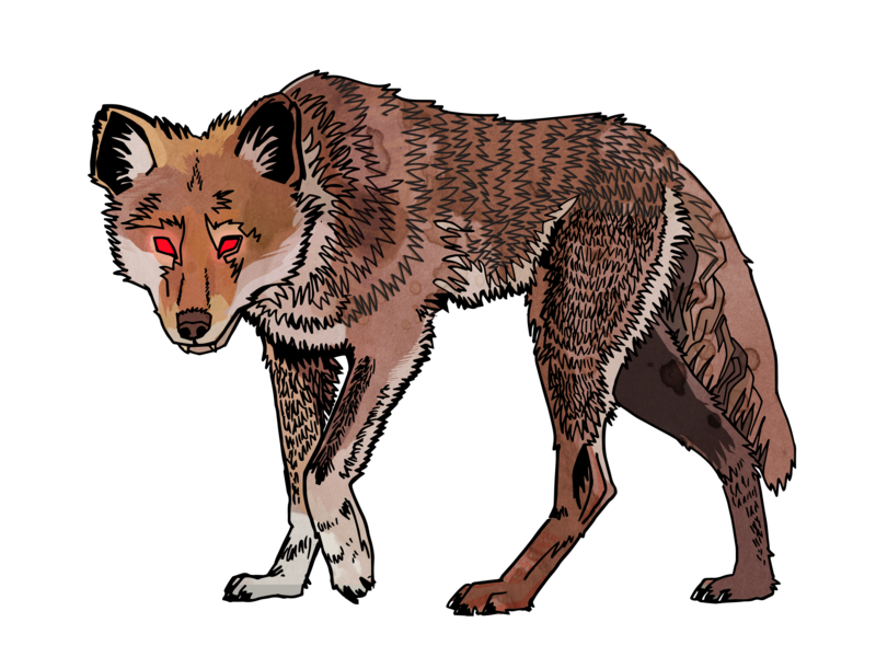 Coyote color3
