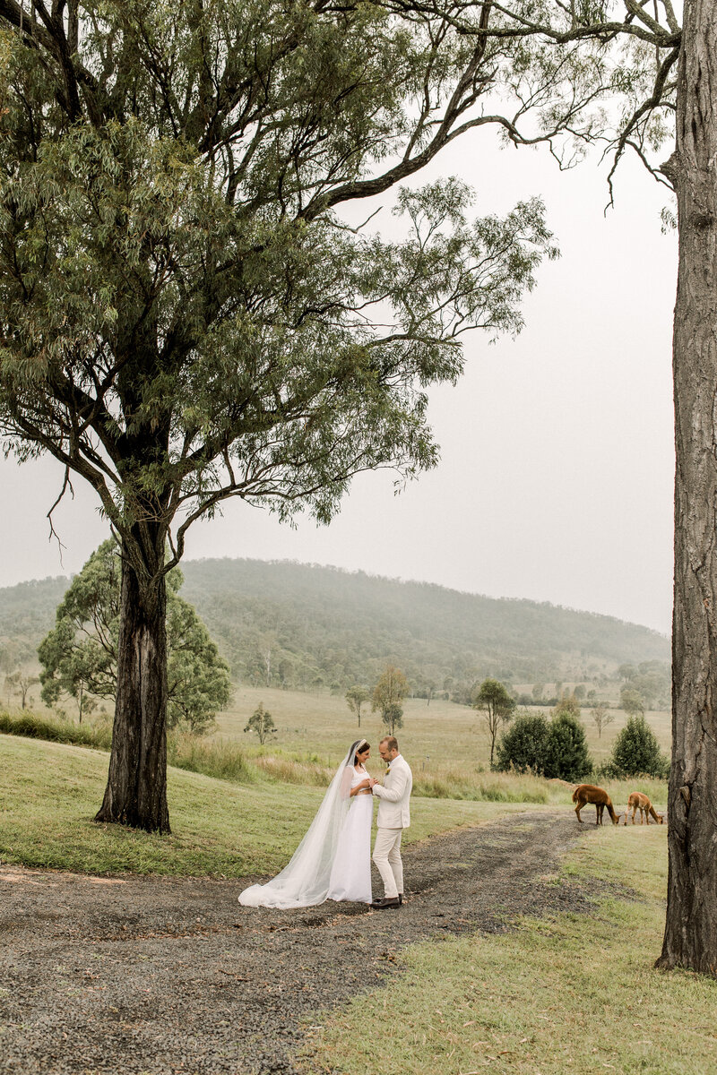 Skyline_Farm_Wedding-64