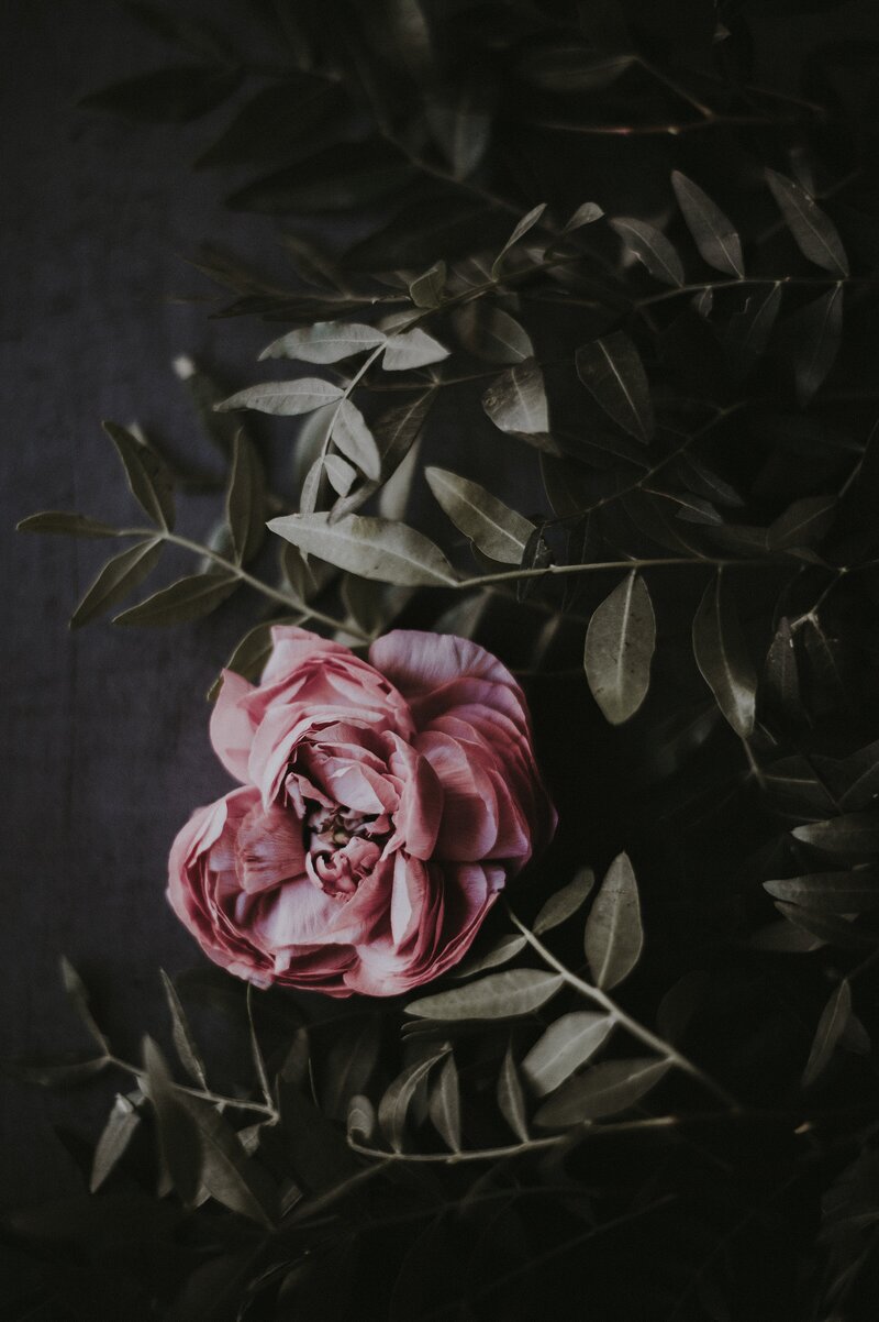 annie-spratt-7PENsr8PlNY-unsplash