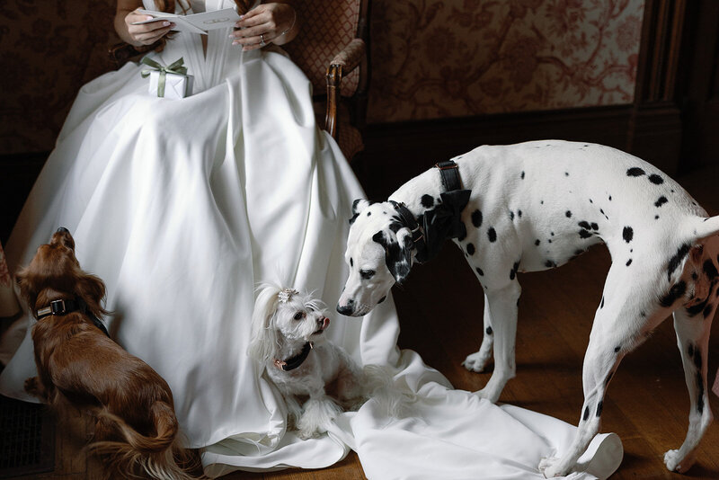 Bride opening her gift on wedding day at Harmony Landing Wedding Venue in Goshen, KY