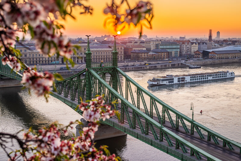 shutterstock_1372951739