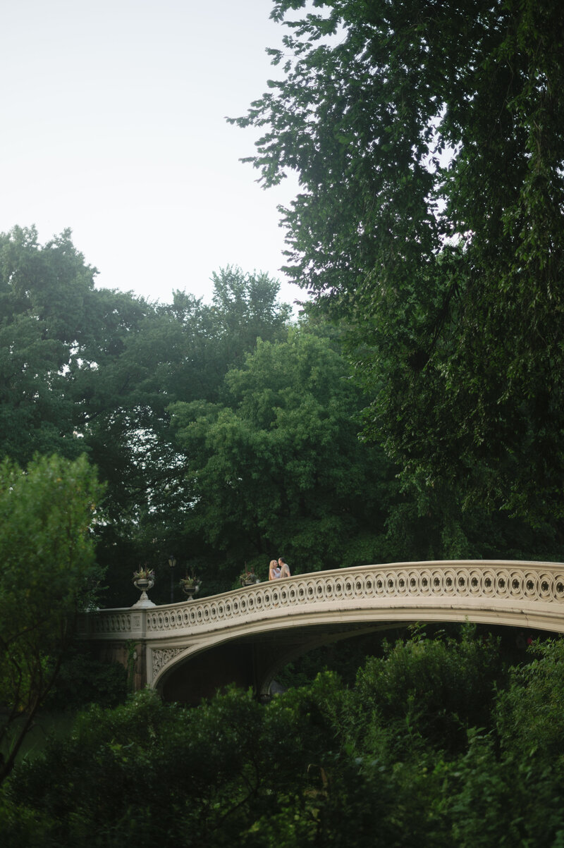 central park engagement
