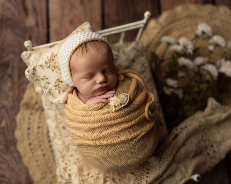 Soft golden tones and floral textures give this newborn portrait a timeless, handcrafted feel full of warmth and elegance.