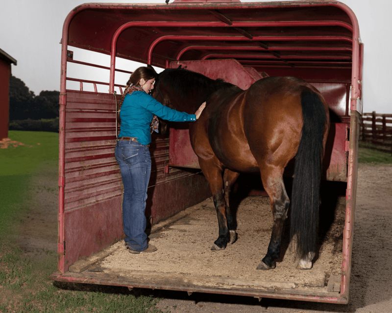 A woman stands with her hand on a horse in an open trailer