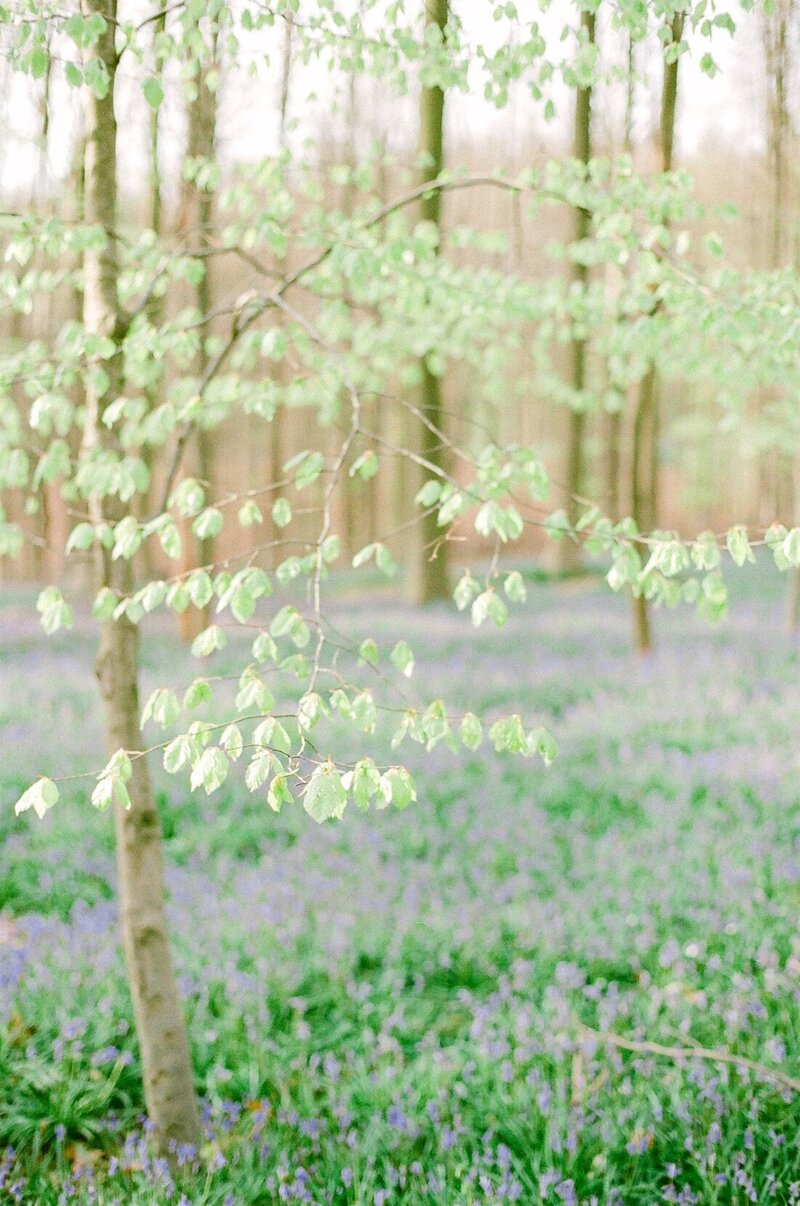 spring forest bridal photo shoot