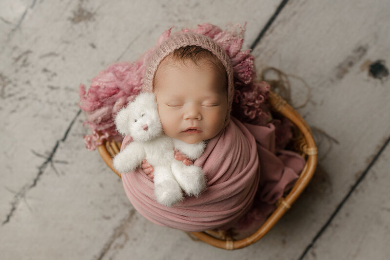 newborn baby girl in a basket with teddy bear