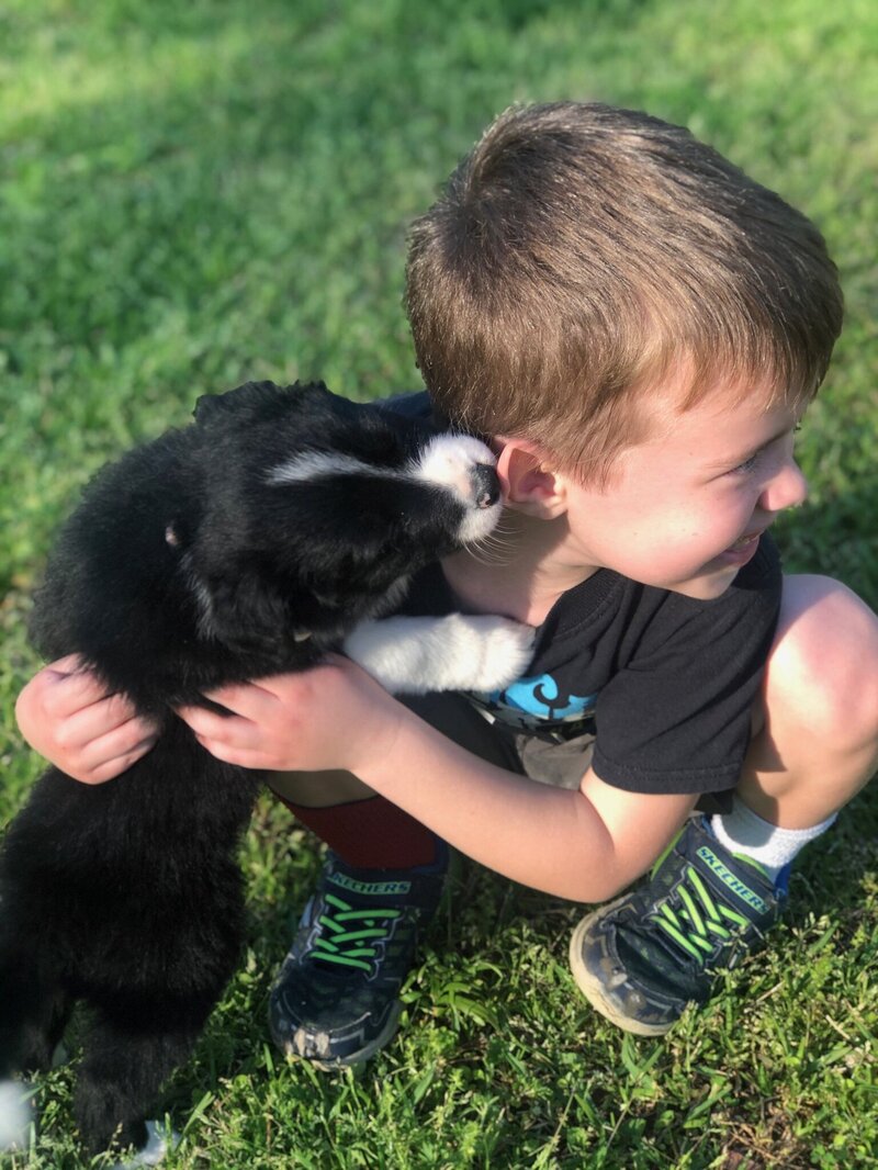 puppy kisses and grandsons