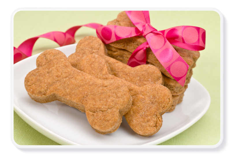 Free Dog Treat Recipe