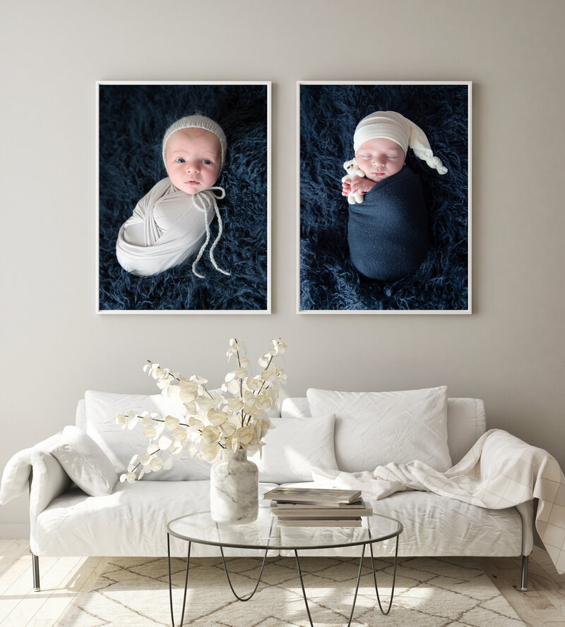 newborn baby photos hung over couch