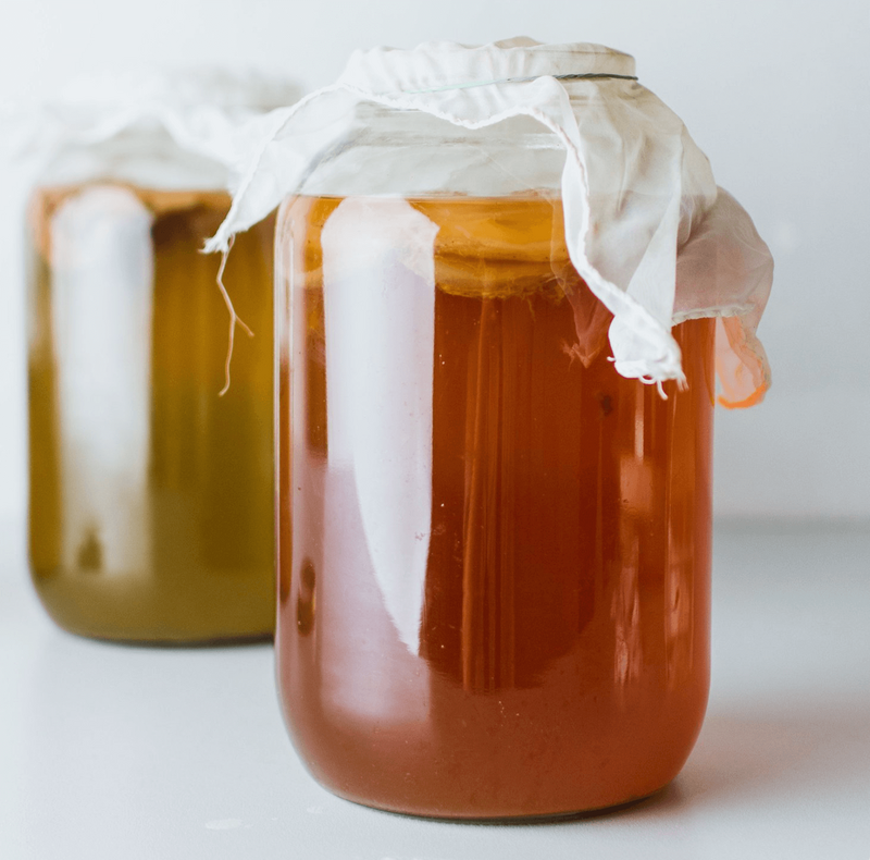 Kombucha Recipe - Positively Jane