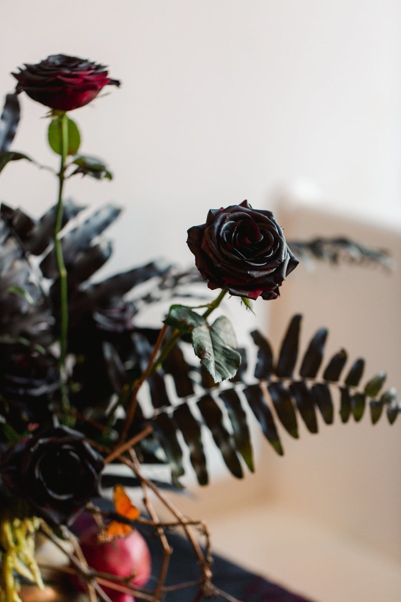 The-Grange-Community-Kitchen-Hamburg-NY-Halloween-Party-Buffalo-Bills-18