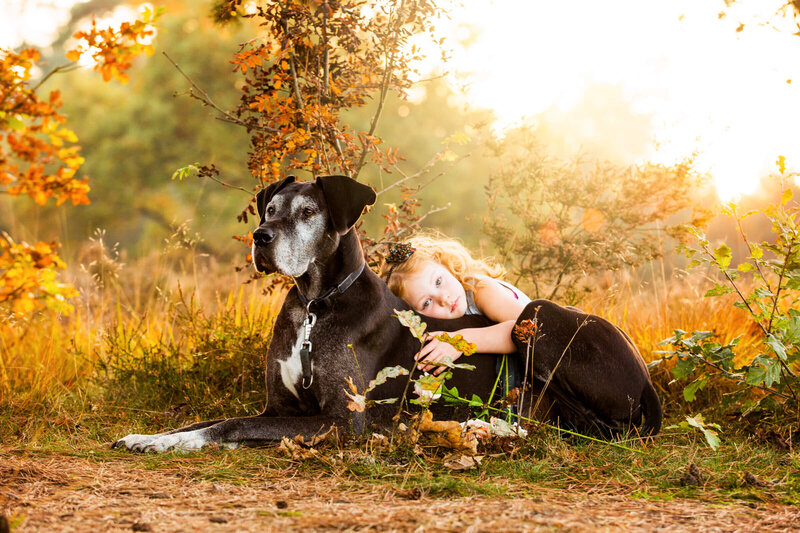 033-20151101-Pretty-Paws-honden-fotografie-hut-van-mie-pils-duise-dog-HR