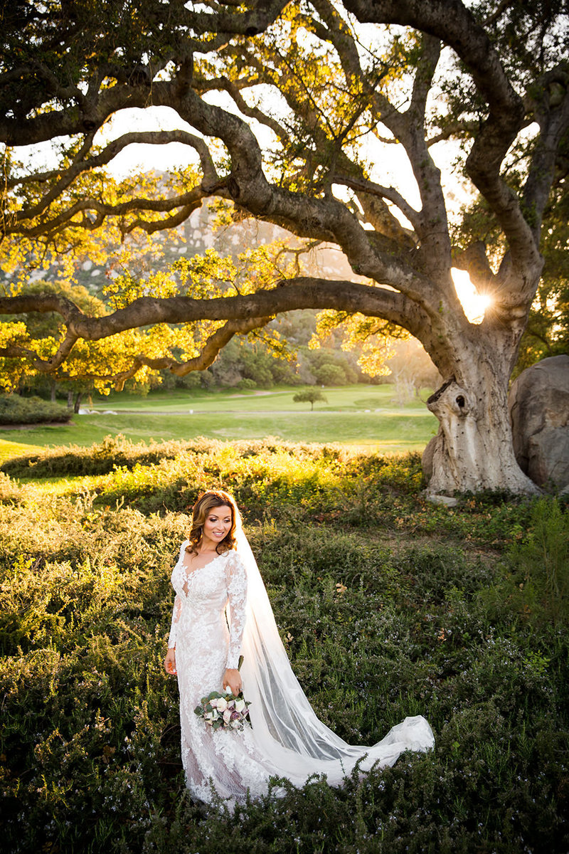 bride in open field with long veil