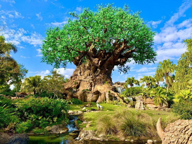 Tree_of_Life,_Disney's_Animal_Kingdom