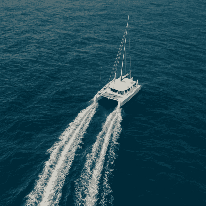 guest-review-ocean-1024x0-c-default