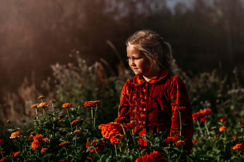 little girl with zinnia flowers