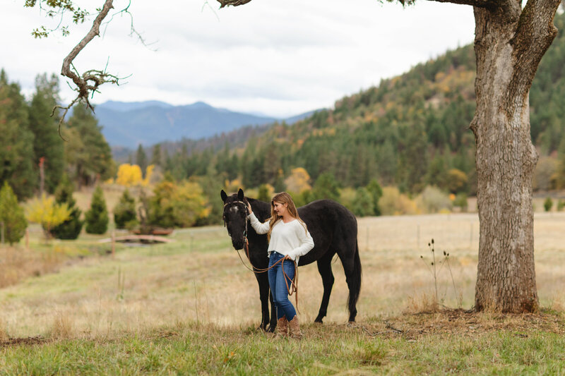 高级图片用一匹马在Medford，俄勒冈州的霍利真正摄影以尤金为主新利体育彩票
