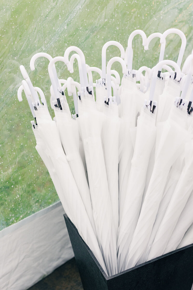 paffordwedding_preceremony269