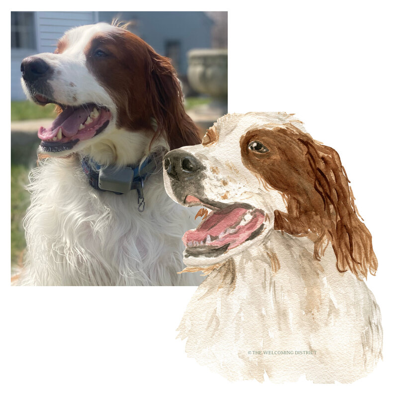 watercolor-dog-portrait-1-The-Welcoming-District