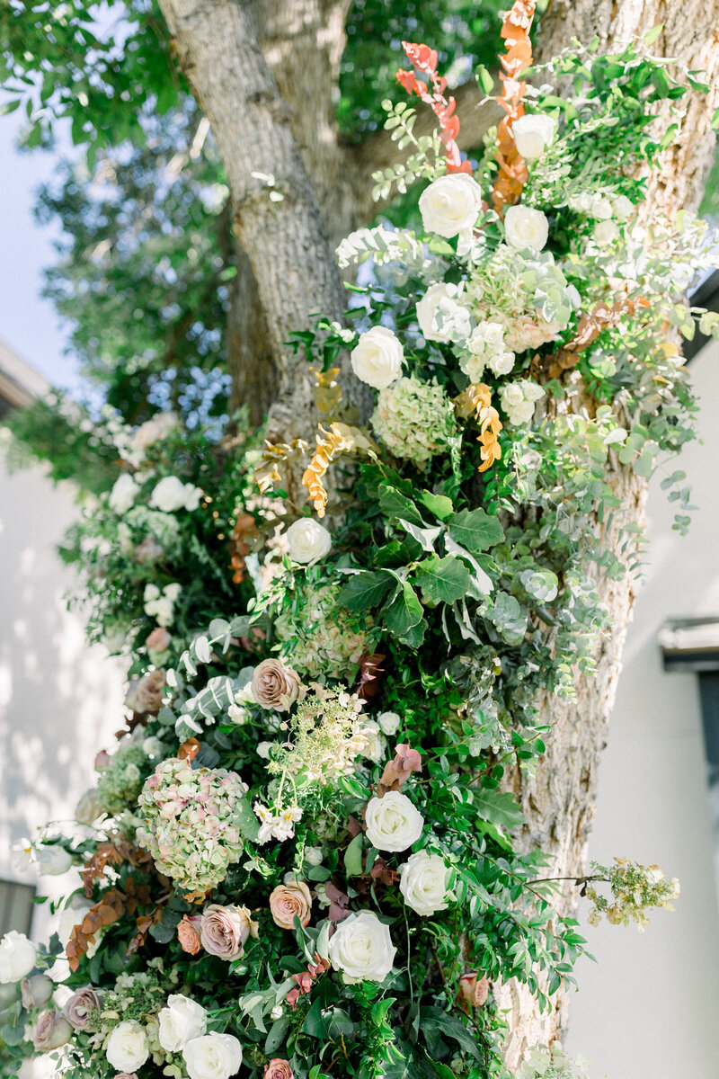 C55AF1CA-C7B3-491A-92C8-0DE0E4C9C161