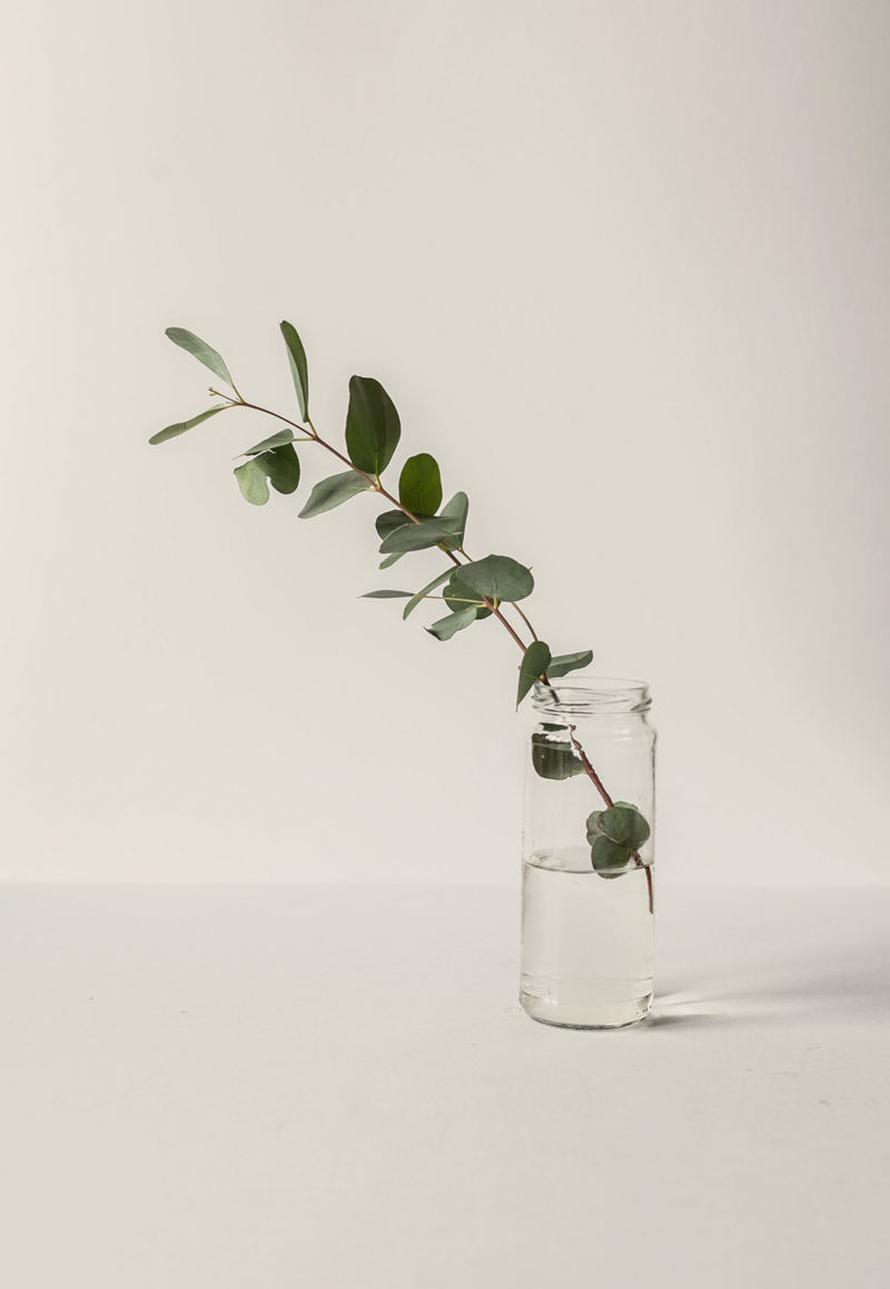 olive leaves in jar on remote work desk hr consulting