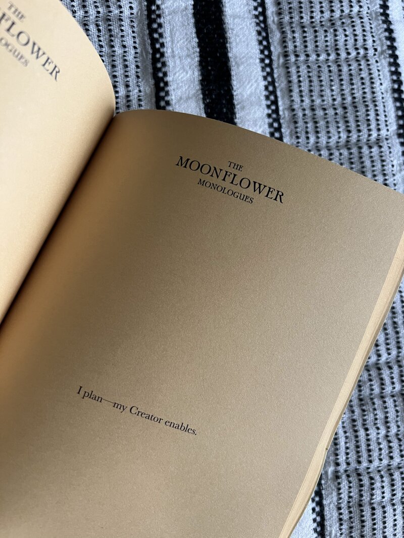 luxury reading books learning marco and lafayette