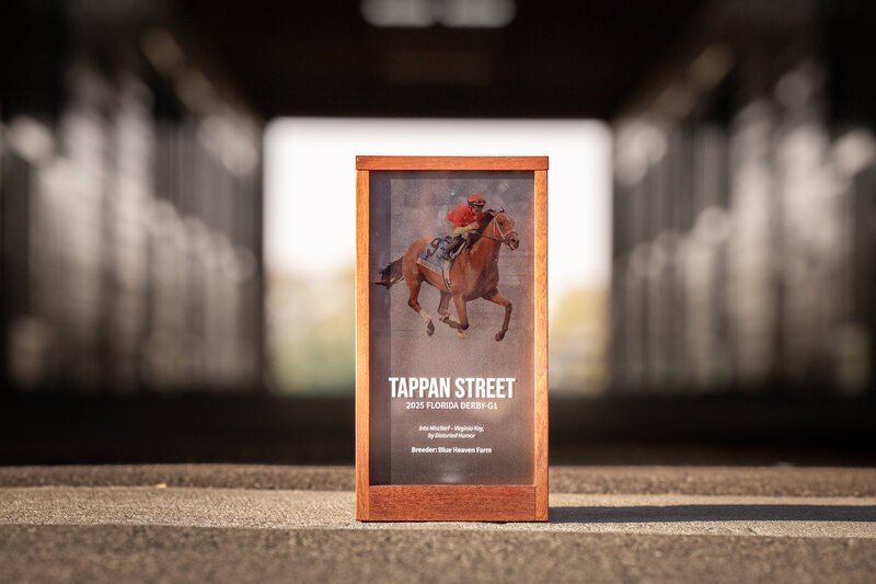 Tappan Street's Florida Derby trophy.