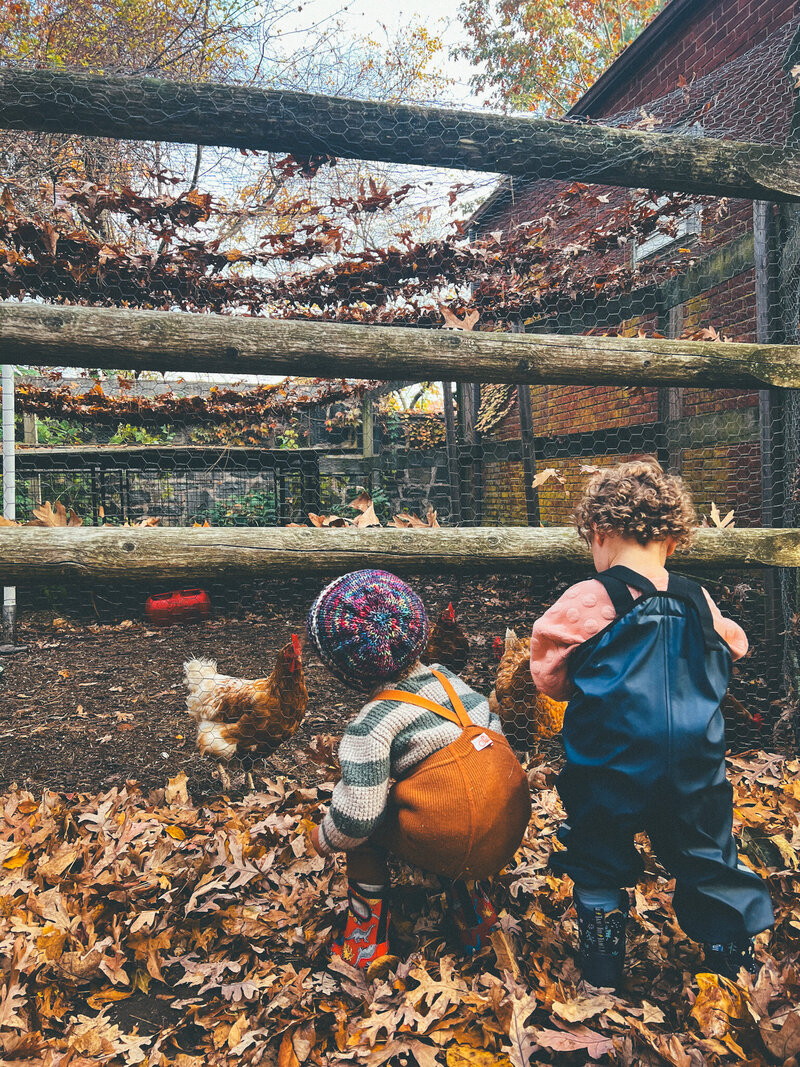 Preschool children exploring nature at Brave Nature School, learning in an outdoor environment with nature-based activities.