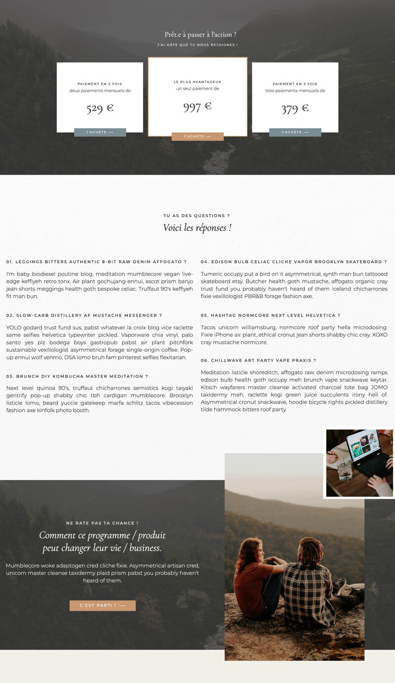 Capture d'écran du template de site Internet Showit Ash