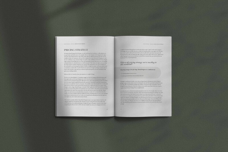 mock of the pricing strategy workbook, stage one. Muted green colors. book open