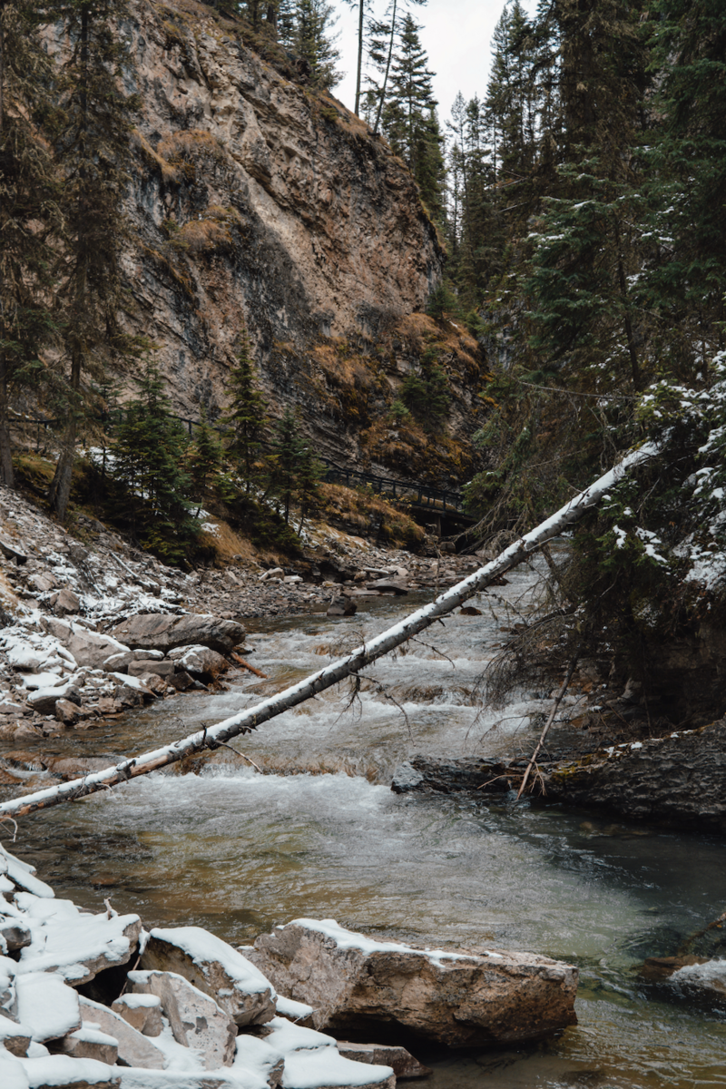 Screenshot 2024-12-23 at 9.14.51 PM